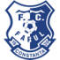 化奴女足 化奴女足